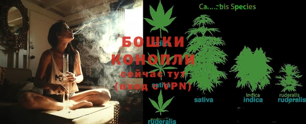 меф Каменск-Шахтинский