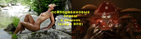 прущая мука Каменногорск