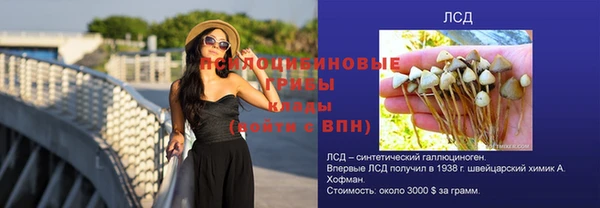 метадон Касимов