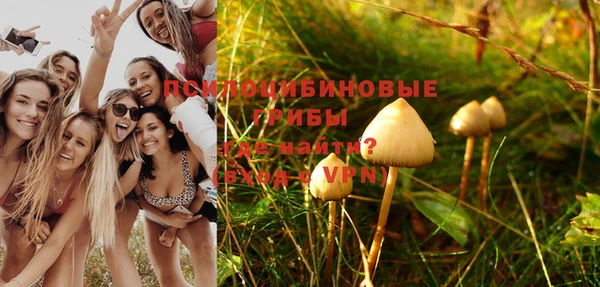 шишки Карпинск