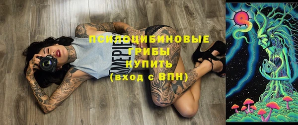 прущая мука Каменногорск